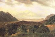 Alexandre Calame The Rhone Valley at Bex with a View to the Lake of Geneva (nn02) painting
